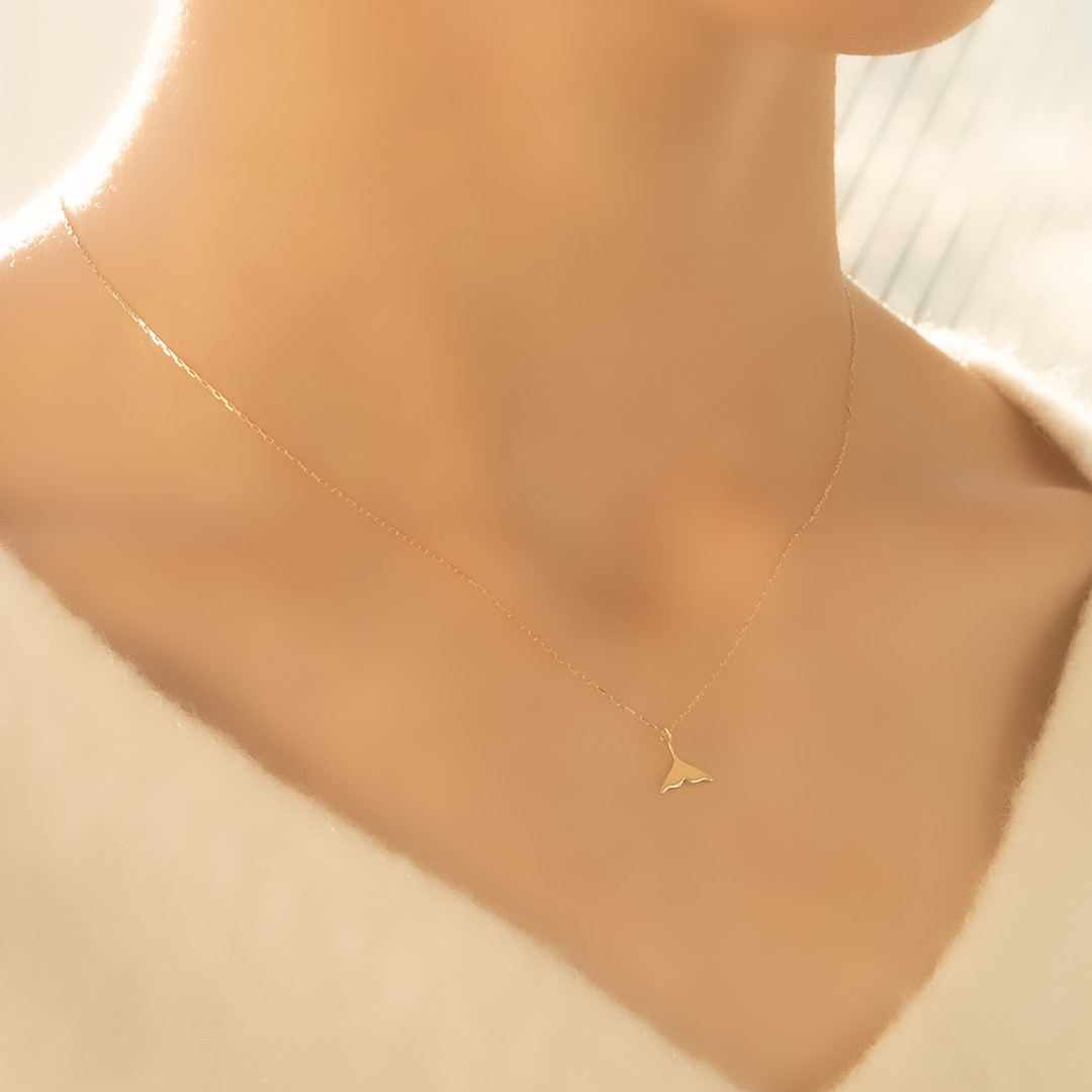 6272300103_5.jpg