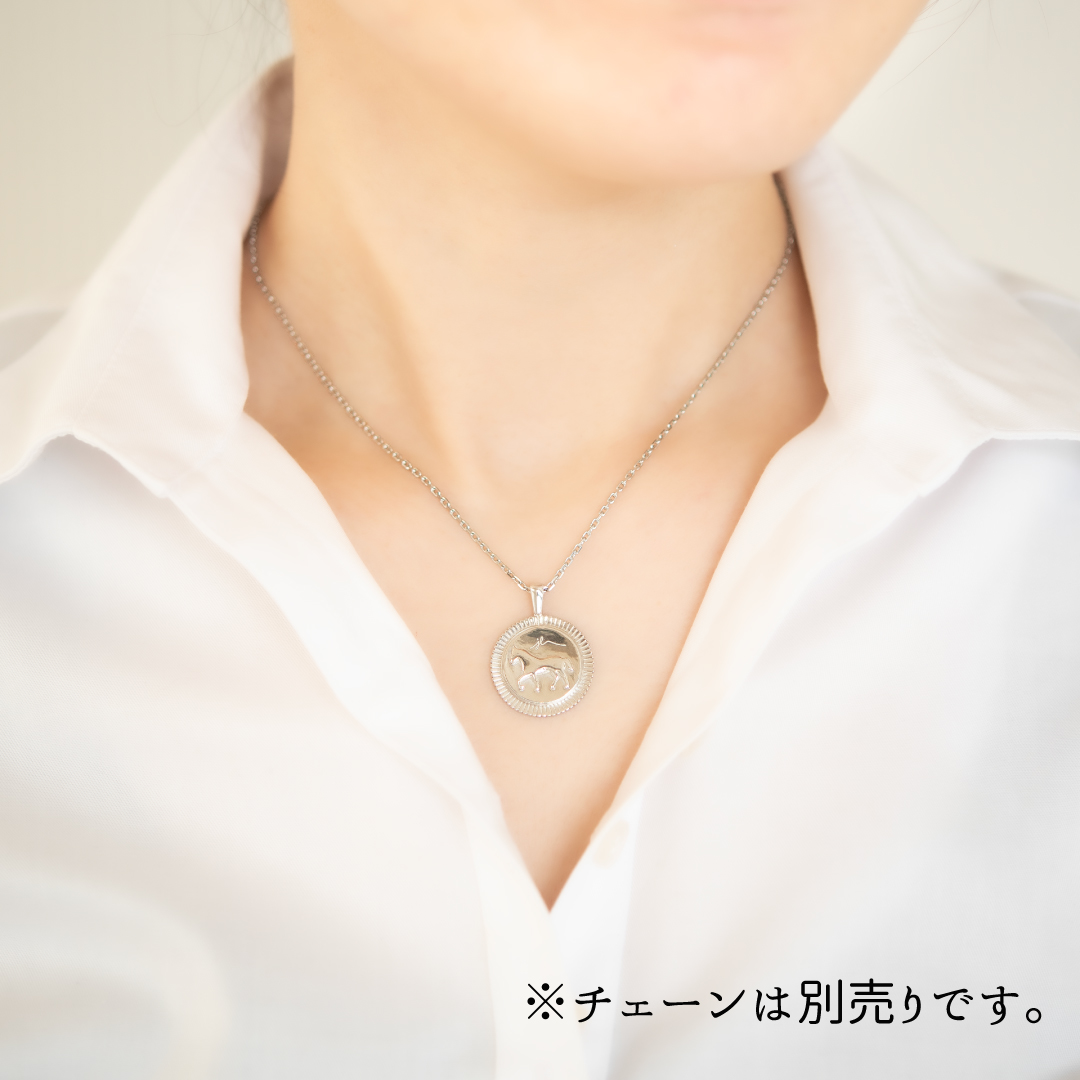 ネックレストップ シルバー925 ロジウムコーティング(JLージュエルー