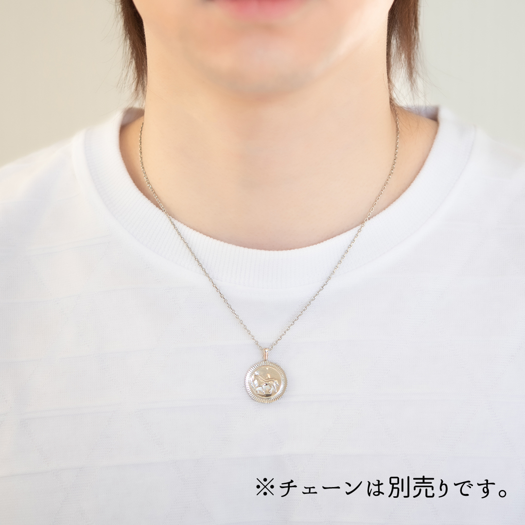 ネックレストップ シルバー925 ロジウムコーティング(JLージュエルー